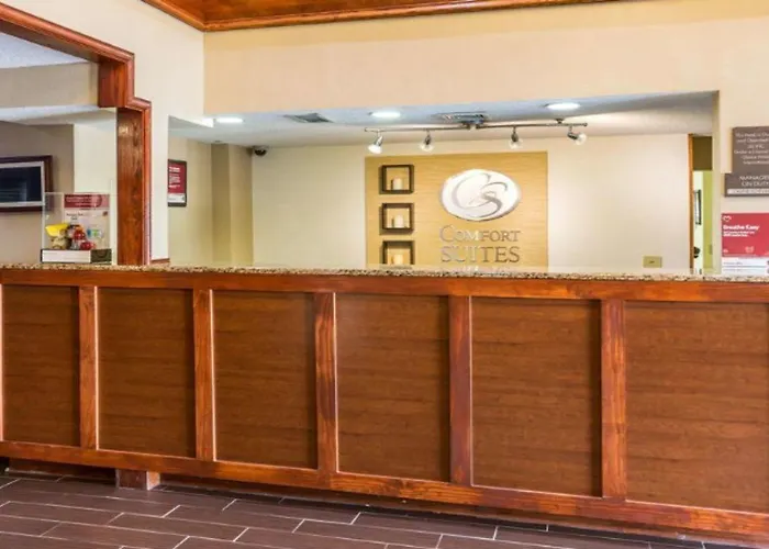 Hotel Comfort Near I-80 And I-94 Lansing