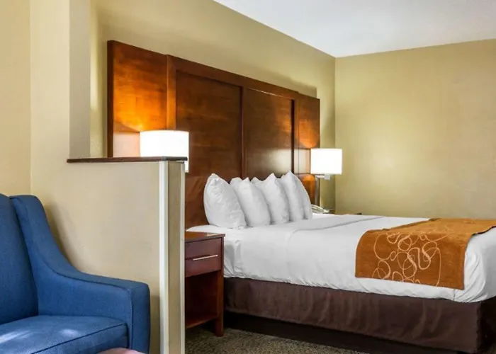 Hotel Comfort Near I-80 And I-94 Lansing