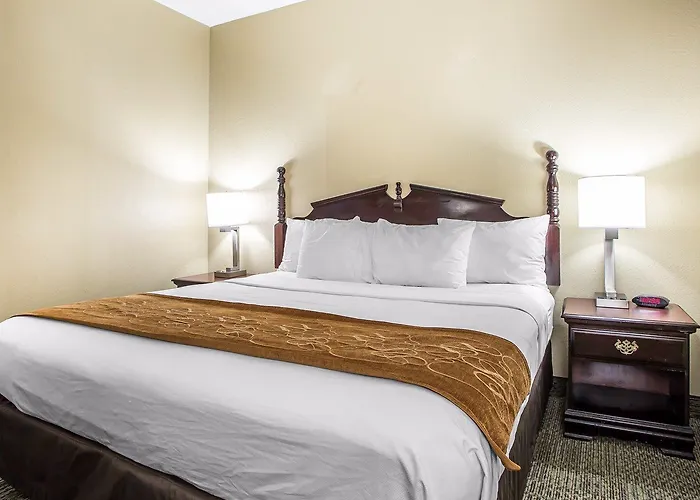 Hotel Comfort Near I-80 And I-94