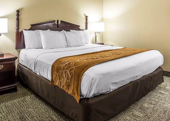 Comfort Near I-80 And I-94 Hotel