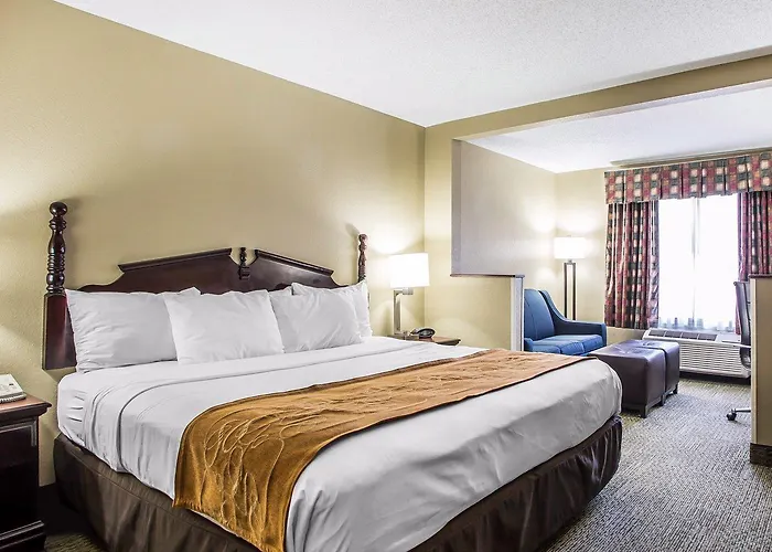 Hotel Comfort Near I-80 And I-94 Lansing