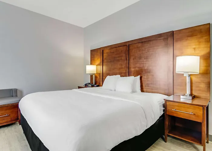 Comfort Near I-80 And I-94 Hotel Lansing