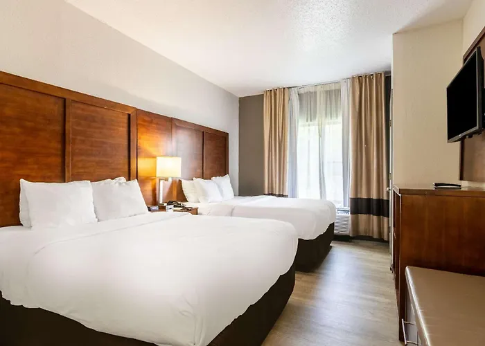 Comfort Near I-80 And I-94 Hotel