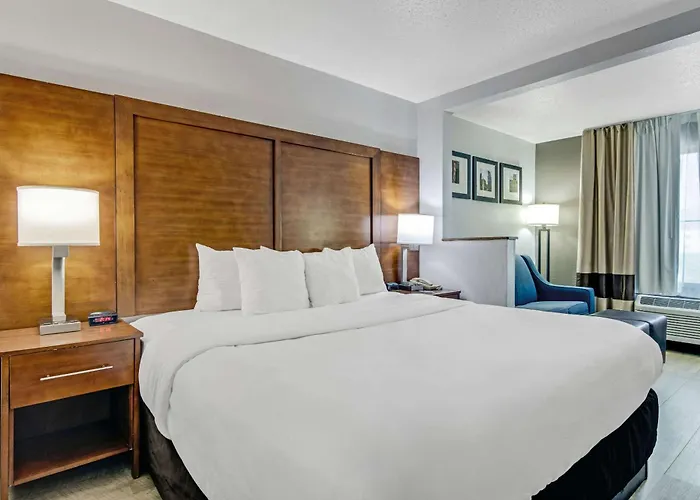 Comfort Near I-80 And I-94 Hotel Lansing