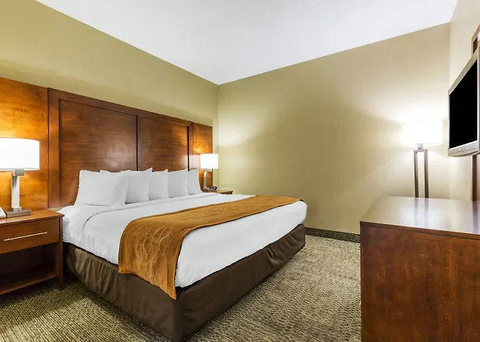 Hotel Comfort Near I-80 And I-94 4*