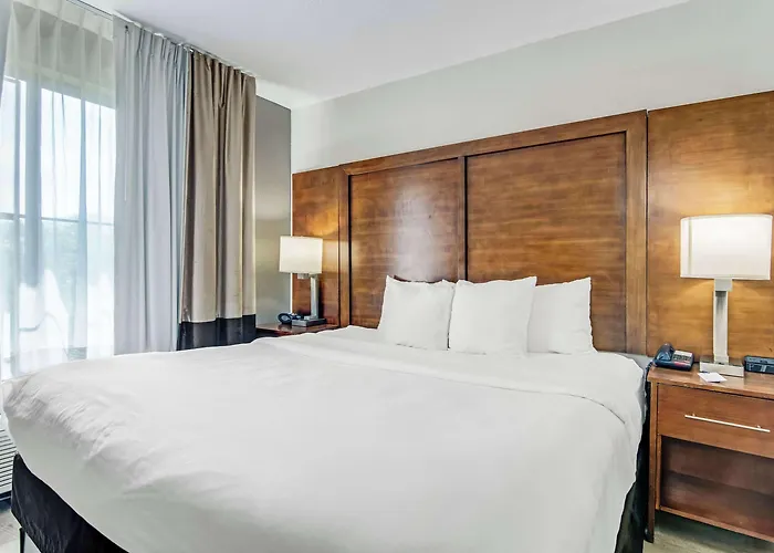 Hotel Comfort Near I-80 And I-94