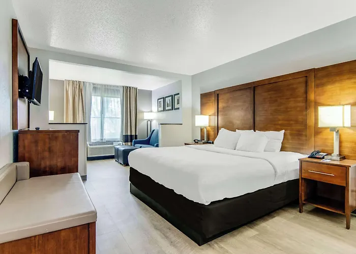 Comfort Near I-80 And I-94 Hotel Lansing
