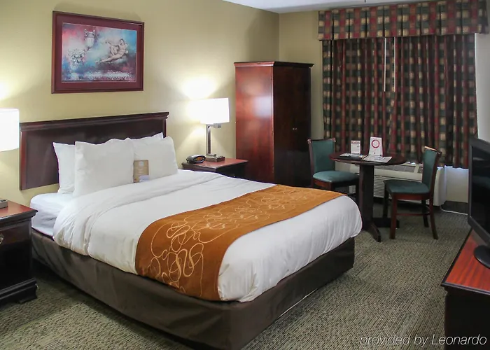 Hotel Comfort Near I-80 And I-94 Lansing